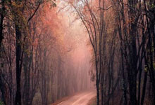 CBA:山西队客场125-116力克四川队 迎七连胜.