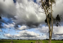 黑白体育:知情人:阿布被迫卖掉切尔西后没再去看过球,他始终关注蓝军.